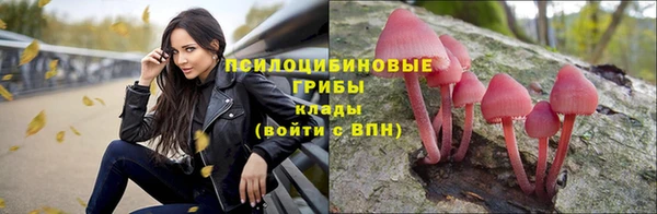 дмт Балахна