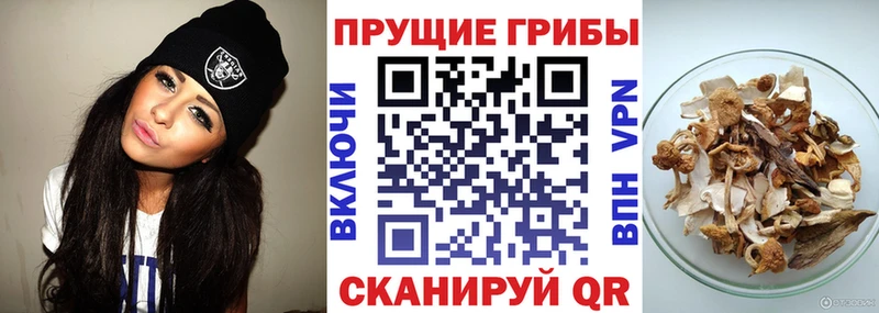 Псилоцибиновые грибы ЛСД Вятские Поляны